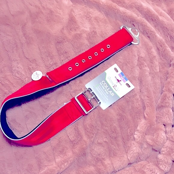 🎉HP🎉 🆕 Big Dog•Padded Collar Reflect*Pull-Tested1000lbs - Picture 3 of 15